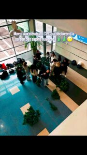 Comme chaque année les éléves CVL inaugurent la fin de l’année avec le sapin géant et d’autres surprises encore !