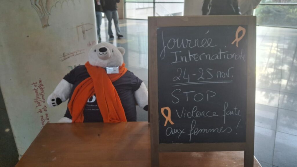 24.11 : JOURNEE INTERNATIONALE DE LUTTE CONTRE LES VIOLENCES FAITES AUX FEMMES