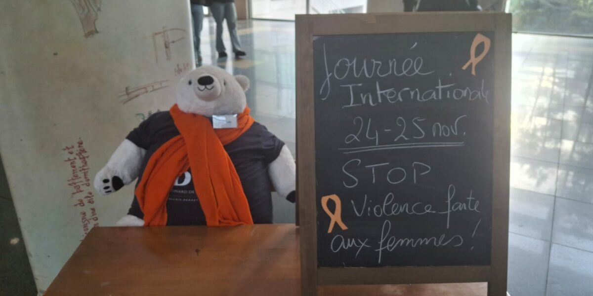 24.11 : JOURNEE INTERNATIONALE DE LUTTE CONTRE LES VIOLENCES FAITES AUX FEMMES