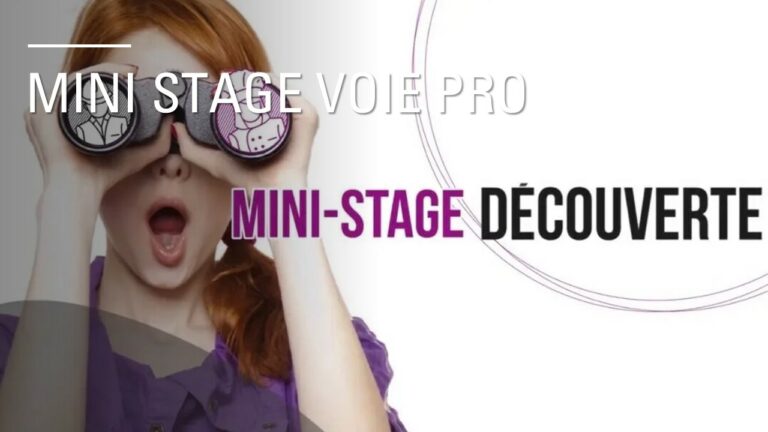 MINI STAGE VOIE PRO